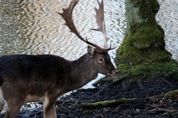 Killikus® Fotographie Killikus® Fotographie